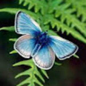 Meet your Posher, Claudia